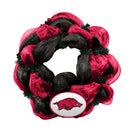 Mesh Wreath | Arkansas
ARK, Arkansas Razorbacks, COL, OldProduct
The Memory Company