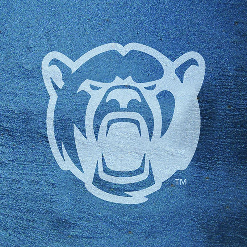 Slate Square Coaster Set | Baylor Bears
BAY, Baylor Bears, COL, CurrentProduct, Home&Office_category_All
The Memory Company