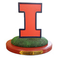 3D Logo | Illinois University
COL, ILL, Illinois Fighting Illini, OldProduct
The Memory Company