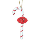 2 Pack Cndy Cane Ornament Youngstown State
COL, Holiday_category_All, OldProduct, YSU
The Memory Company