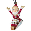 Elf On Sled Ornament | 49ers
NFL, OldProduct, San Francisco 49ers, SFF
The Memory Company